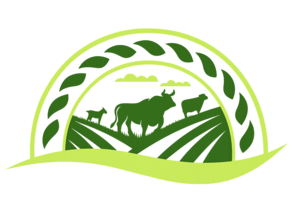 قمة المذاق المتميز - Top Distinguished Taste